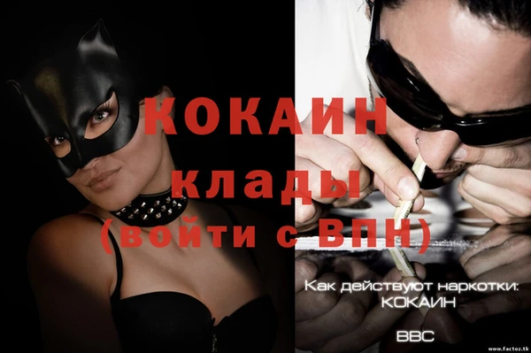 спиды Верея