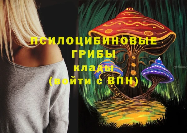 спиды Верея