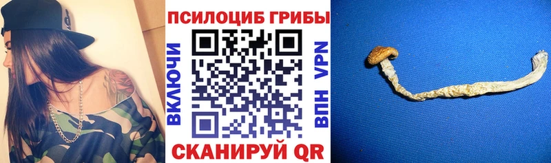 Галлюциногенные грибы MAGIC MUSHROOMS  Купить закладки  Нерехта 