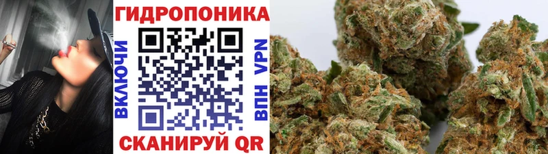 Купить  Нерехта  Марихуана ГИДРОПОН 